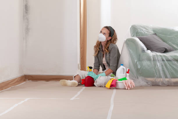 Reliable Black Mold Removal contractor in Midland, WA by WQB Mold Removal